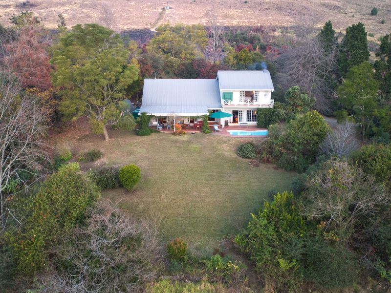 Aerial view of a two-story small holding residence featuring a metal roof, swimming pool, and expansive garden surrounded by mature trees.