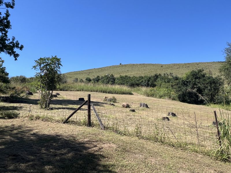 A view of the open land and garden area featuring wire fencing and natural landscape.