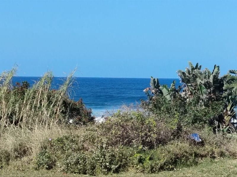 A scenic view of the ocean framed by coastal vegetation and natural landscaping.