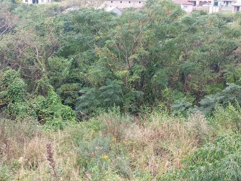 Vacant Land Residential For Sale In Umbumbulu - Photo 5