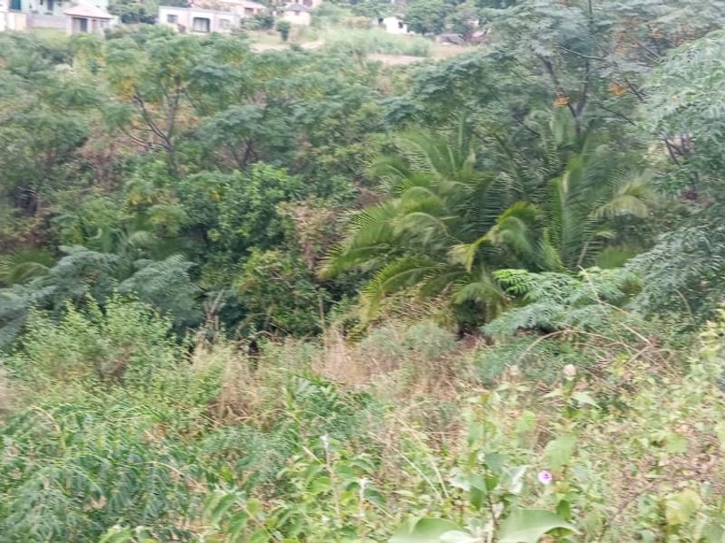 Vacant Land Residential For Sale In Umbumbulu - Photo 4