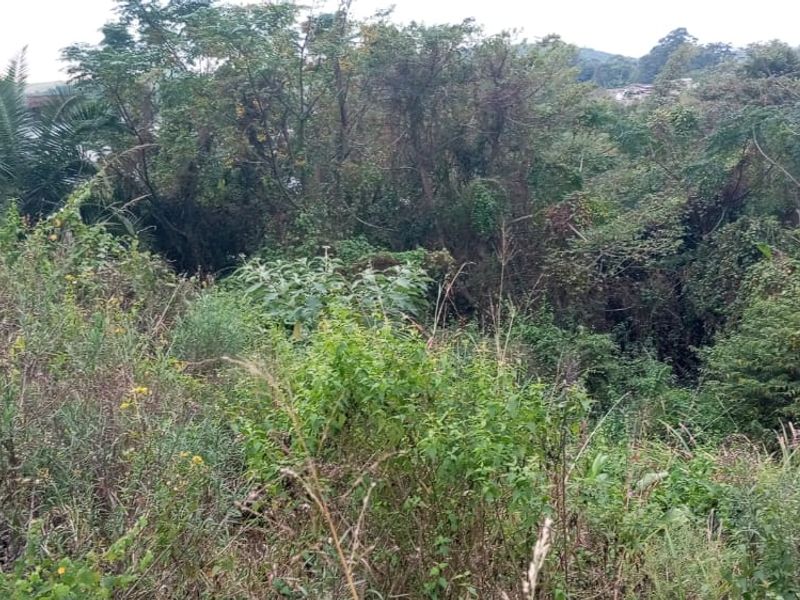 Vacant Land Residential For Sale In Umbumbulu - Photo 3