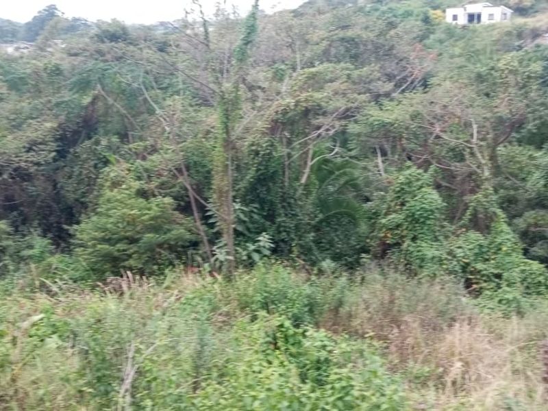 Vacant Land Residential For Sale In Umbumbulu - Photo 7