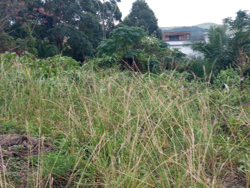Vacant Land Residential For Sale In Umbumbulu - Photo 6