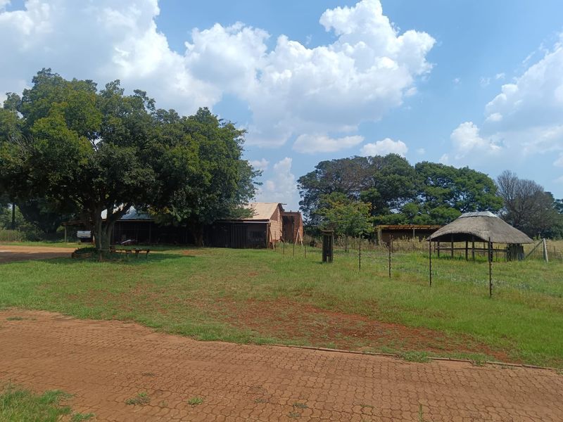 A rural property exterior featuring a large grassy yard, mature trees, a thatched gazebo, and a paved driveway leading to outbuildings.