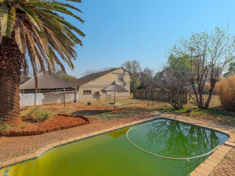 Rear garden area featuring a swimming pool, paved surround, and a detached thatched structure, set against a large palm tree.