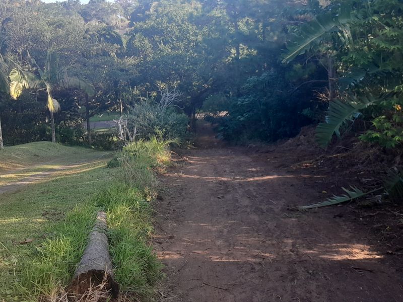 A view of a sloped, undeveloped residential plot featuring mature trees, natural vegetation, and a precast concrete boundary wall along the side.