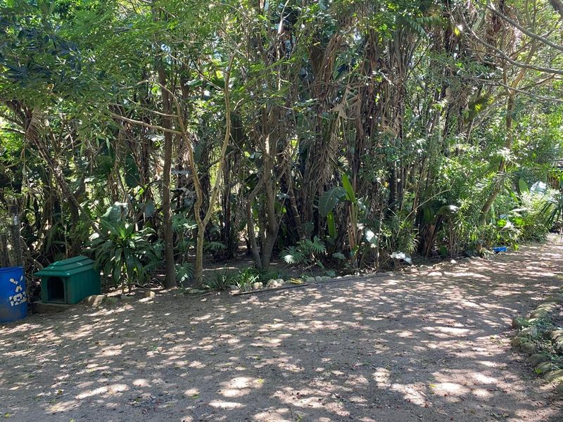 A shaded garden area featuring mature trees and a gravel pathway, providing a natural and private outdoor setting.