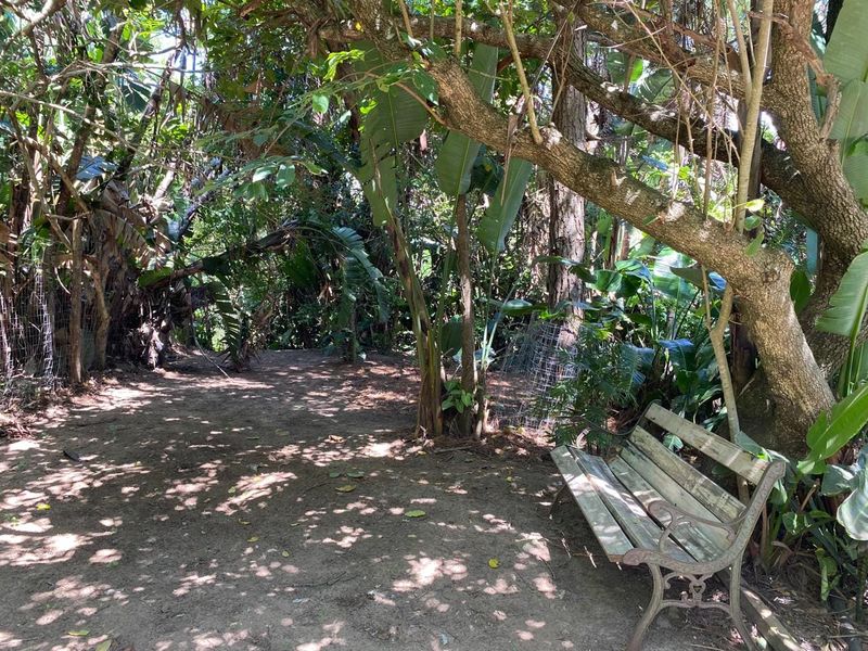 A shaded, natural garden area featuring mature trees and established greenery, providing a quiet outdoor space.