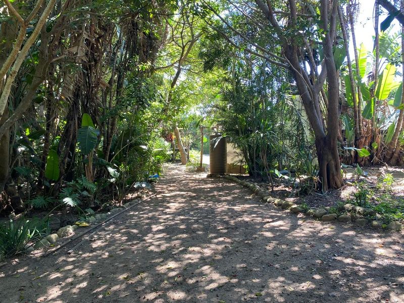 A lush, shaded garden pathway featuring mature trees, natural landscaping, and a functional water tank.