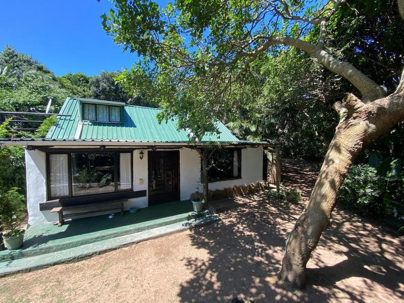 A charming cottage-style home featuring a green metal roof, dormer window, and a covered front porch nestled in a lush, wooded setting.