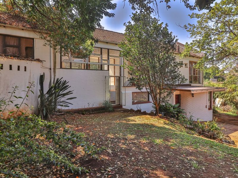Rear view of the property featuring a multi-level facade, large windows, and a paved driveway area surrounded by mature garden trees.
