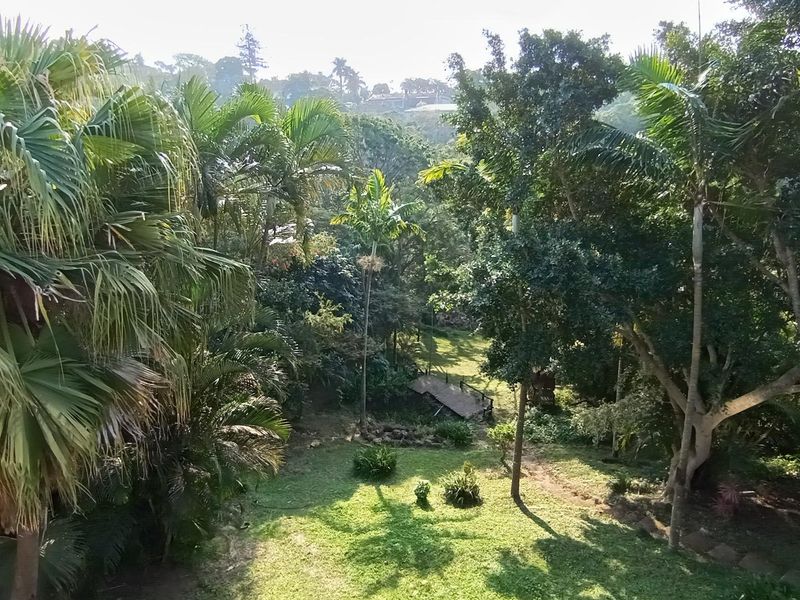 A lush, mature garden featuring established trees, a green lawn, and a small wooden footbridge crossing a natural area.