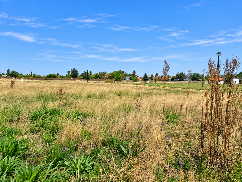 A wide, open vacant residential plot featuring natural grass and vegetation with existing street lighting infrastructure.