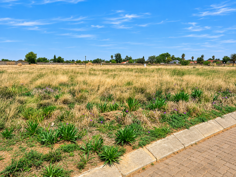 A vacant residential plot featuring natural grass coverage, a paved curb, and a perimeter boundary wall in the background.