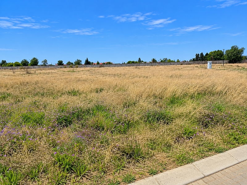 A vacant residential plot featuring dry grass, a perimeter boundary wall, and a paved curb along the street frontage.