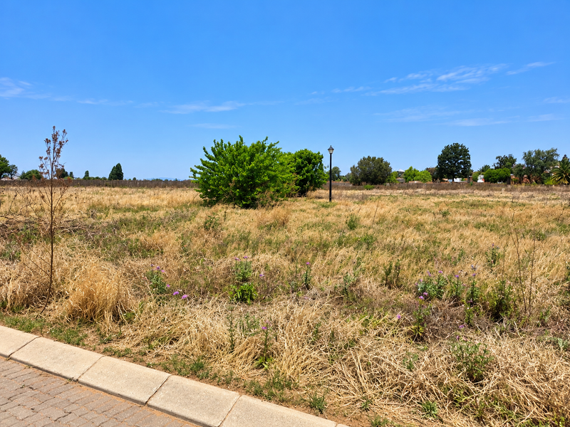 A vacant residential plot featuring dry grass, a street lamp, and a paved kerb, offering a clear space for future development.
