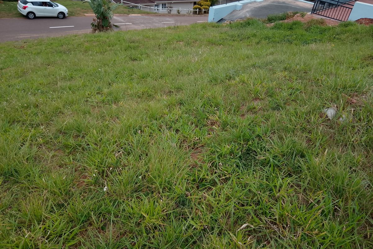 A view of a vacant residential plot featuring sloped, grass-covered terrain with adjacent street access.
