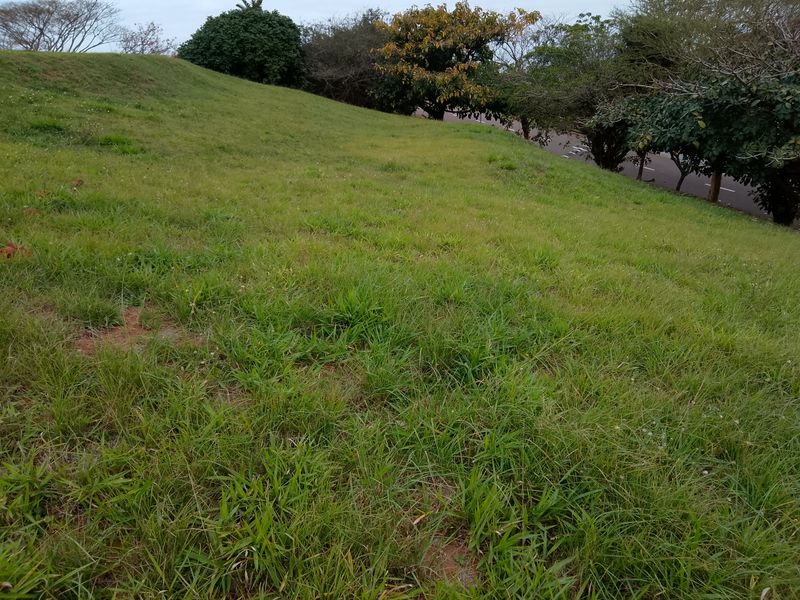 A view of a sloped, grass-covered vacant residential plot featuring mature trees along the perimeter.