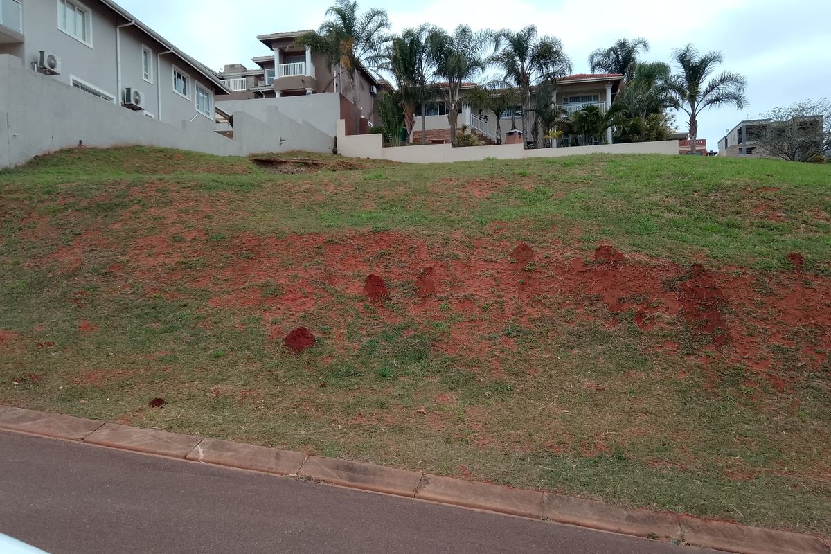 A sloped residential vacant land plot featuring red soil, grass cover, and an adjacent paved road with neighboring properties visible in the background.