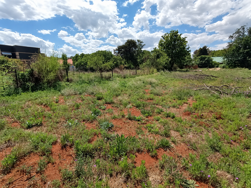 A vacant residential plot featuring natural ground cover, mature trees, and perimeter wire fencing.