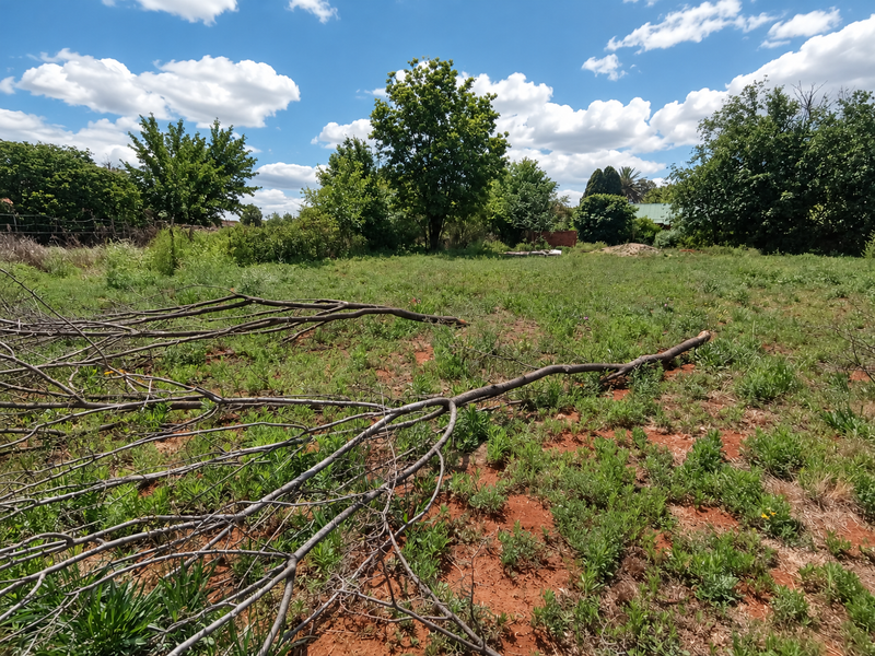 A view of the vacant residential land featuring natural vegetation and mature trees under a clear blue sky.