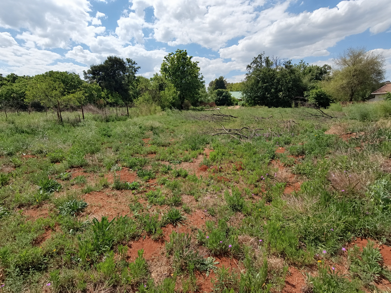 A view of a vacant residential plot featuring natural vegetation, mature trees, and perimeter wire fencing.