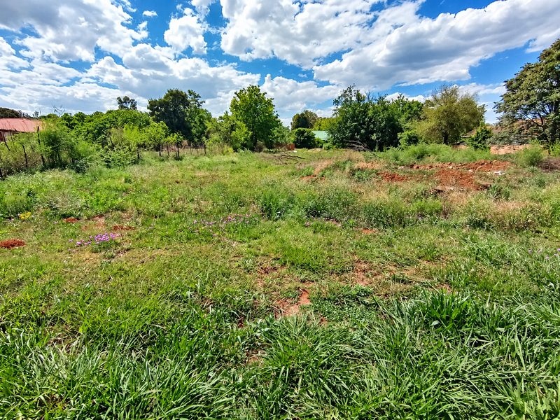 A view of a vacant residential plot featuring natural grass and surrounding mature trees under a clear blue sky.