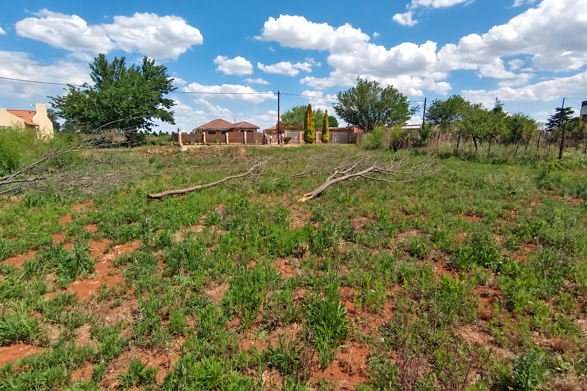 A vacant residential plot featuring natural vegetation, mature trees, and perimeter fencing, offering a clear space for potential development.