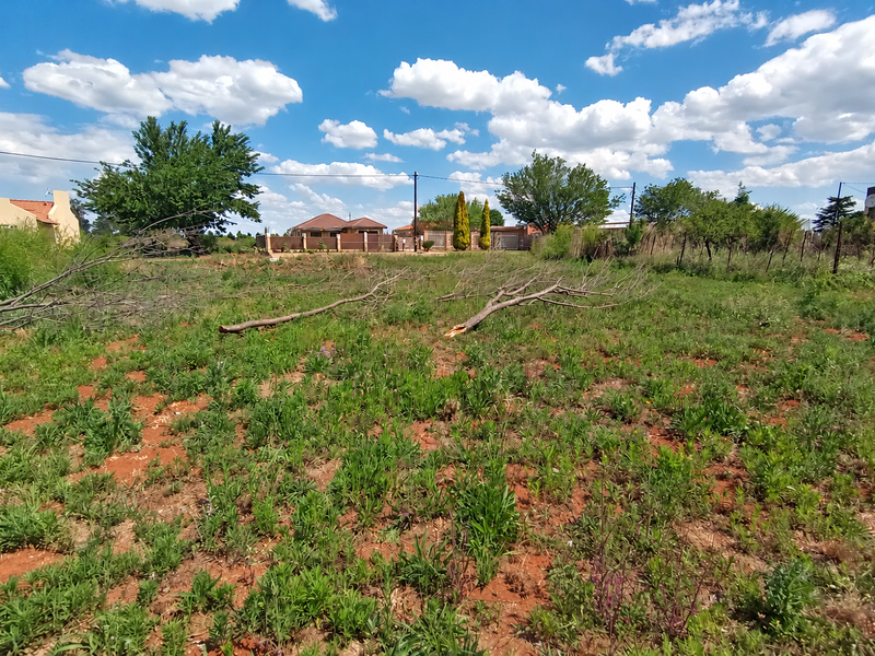 A vacant residential plot featuring natural vegetation, mature trees, and perimeter fencing, offering a clear space for potential development.