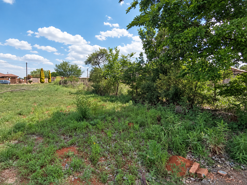 A view of a vacant residential plot featuring natural vegetation, mature trees, and perimeter fencing under a clear blue sky.