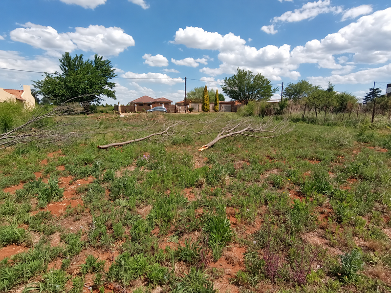 A view of a vacant residential plot featuring natural vegetation, mature trees, and perimeter fencing, suitable for future development.
