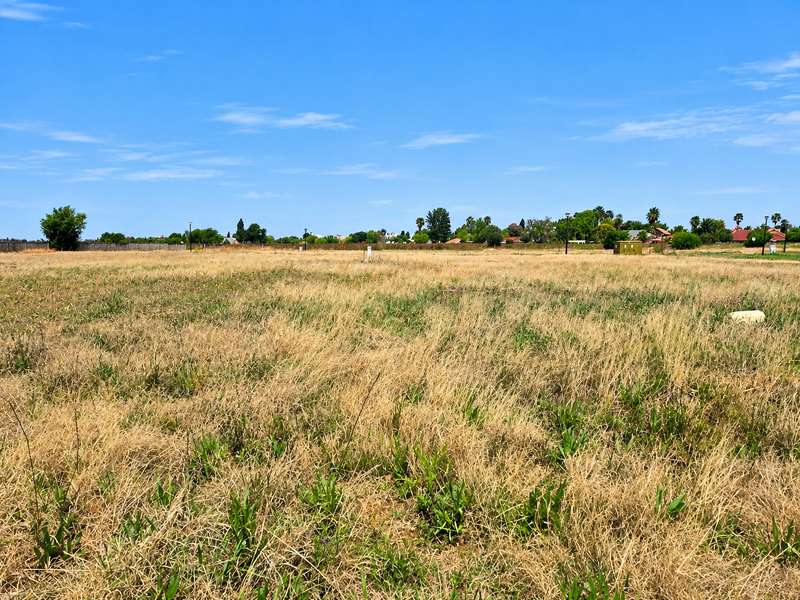 A wide, level vacant residential plot covered in dry grass, featuring a boundary wall and clear potential for future development.