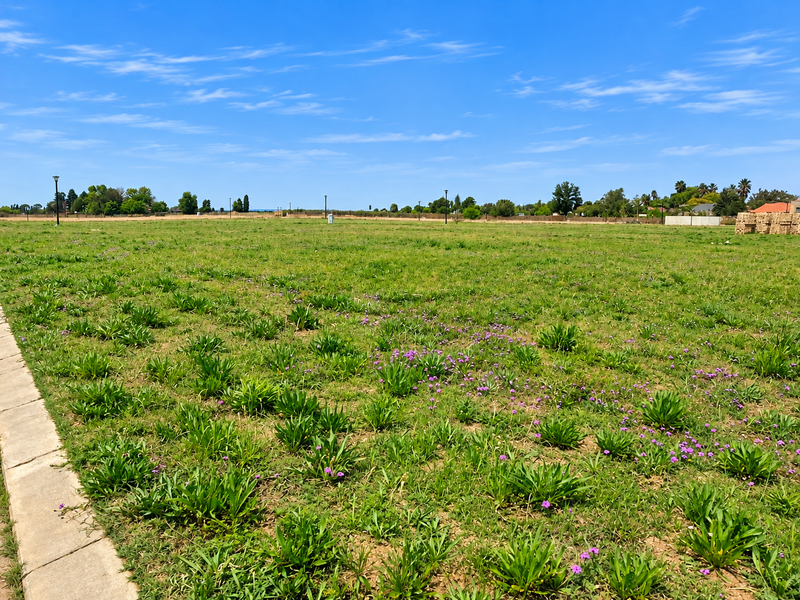 A wide, open residential plot featuring natural grass coverage, a concrete curb border, and established street lighting infrastructure.