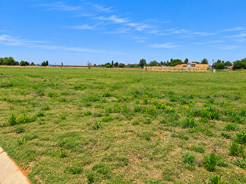 A wide, open residential vacant land plot featuring natural grass coverage and a clear boundary wall in the distance.