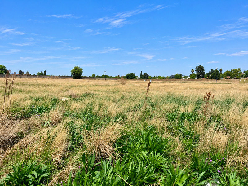 A wide, open residential vacant land plot featuring natural grass coverage and a perimeter boundary wall in the background.