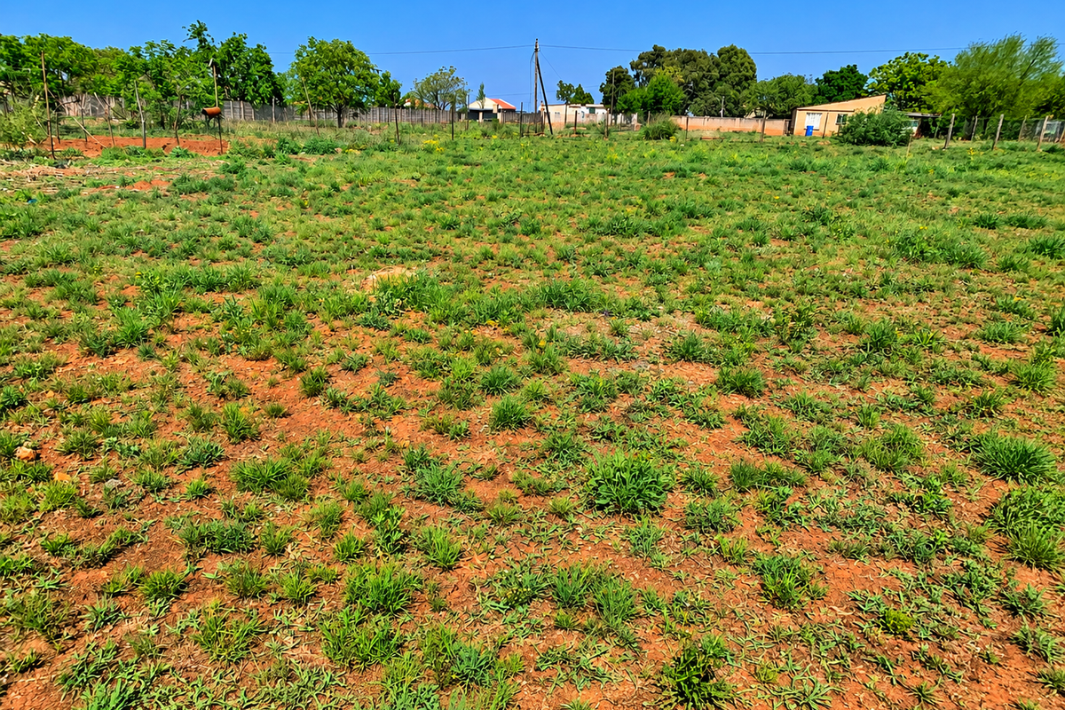 A wide-angle view of a vacant residential plot featuring natural ground cover, perimeter fencing, and surrounding mature trees.