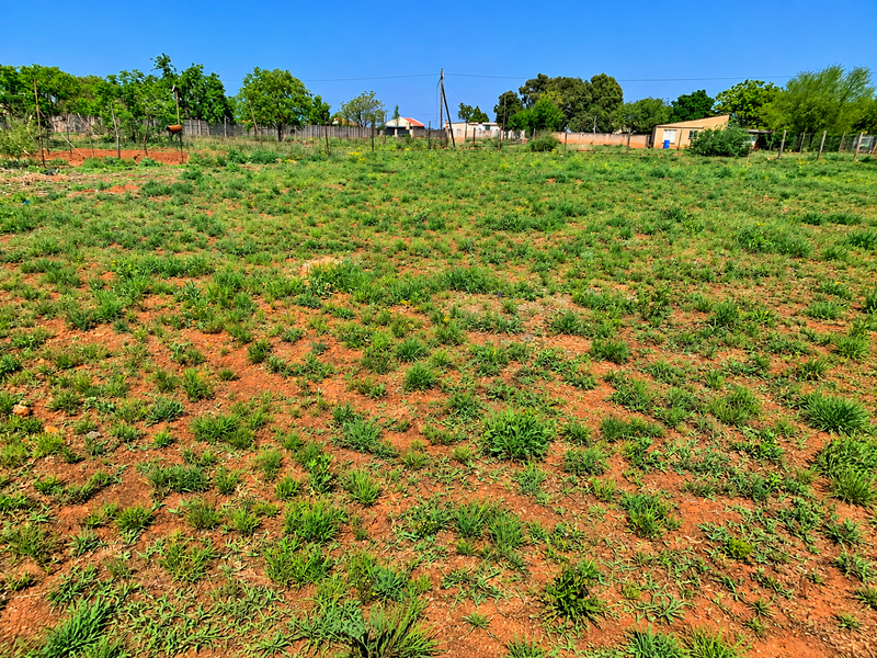 A wide-angle view of a vacant residential plot featuring natural ground cover, perimeter fencing, and surrounding mature trees.