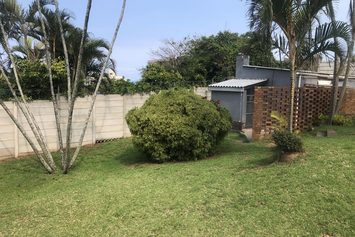 A private rear garden featuring a lawn, mature palm trees, a brick feature wall, and a small outbuilding with a corrugated roof.