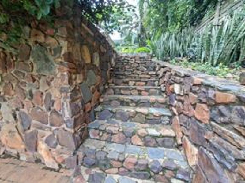 A set of stone stairs leading through a garden area, flanked by natural stone retaining walls and established greenery.