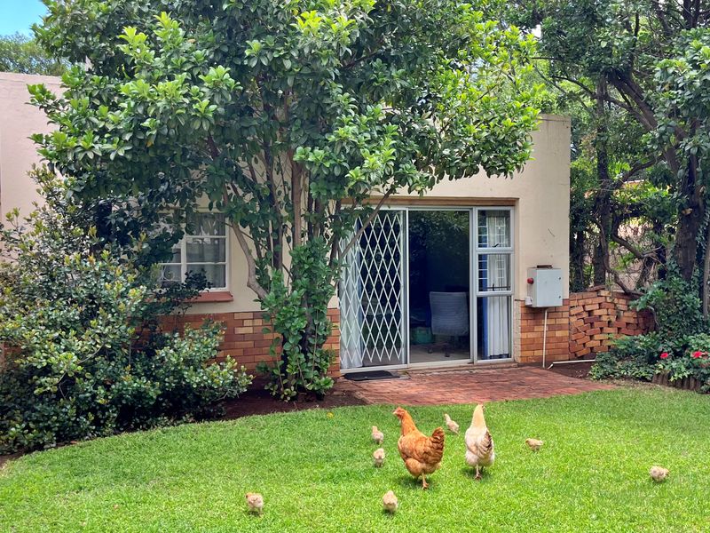 Rear view of the property featuring a brick-paved patio area, sliding glass doors with security gates, and a well-maintained garden space.