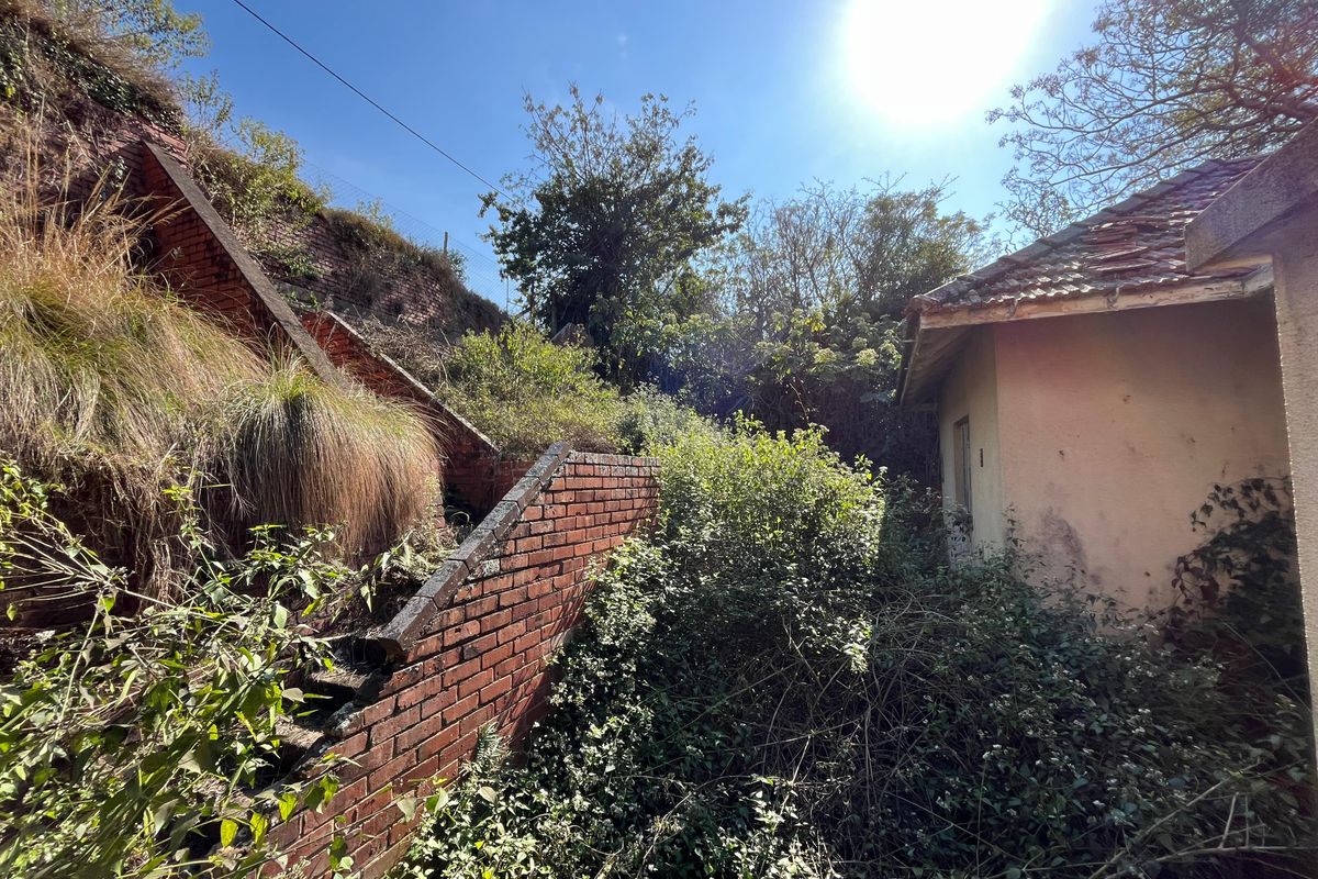 Rear exterior view showing a brick retaining wall, overgrown garden area, and a structure with visible roof and wall deterioration.