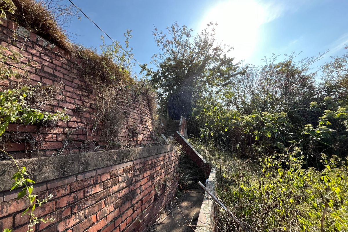 An outdoor garden area featuring a weathered brick retaining wall and a concrete staircase surrounded by overgrown vegetation.