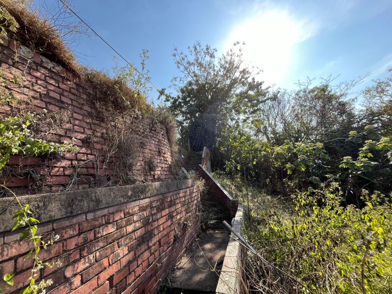 An outdoor garden area featuring a weathered brick retaining wall and a concrete staircase surrounded by overgrown vegetation.