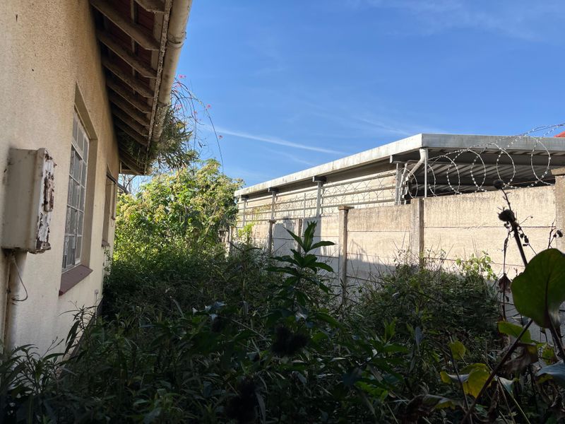A view of the rear exterior area featuring a precast concrete boundary wall with razor wire and significant overgrown vegetation requiring maintenance.