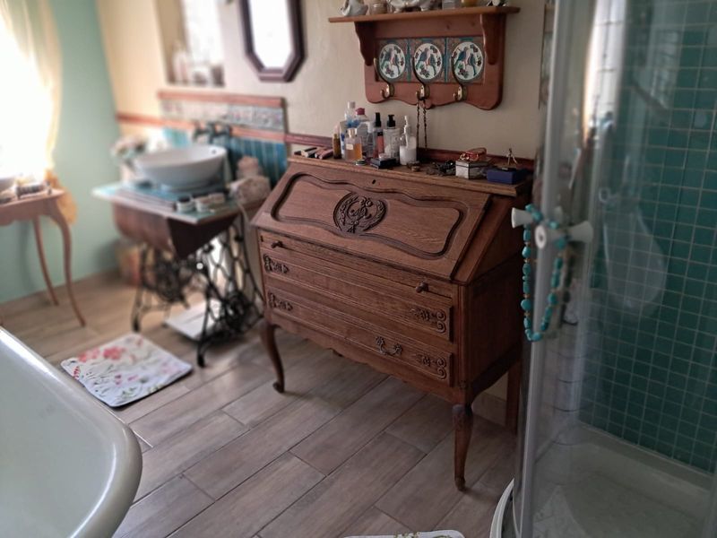 A bathroom featuring a vessel sink, a shower enclosure with tiled walls, and wood-look floor tiles, offering a unique vintage aesthetic.