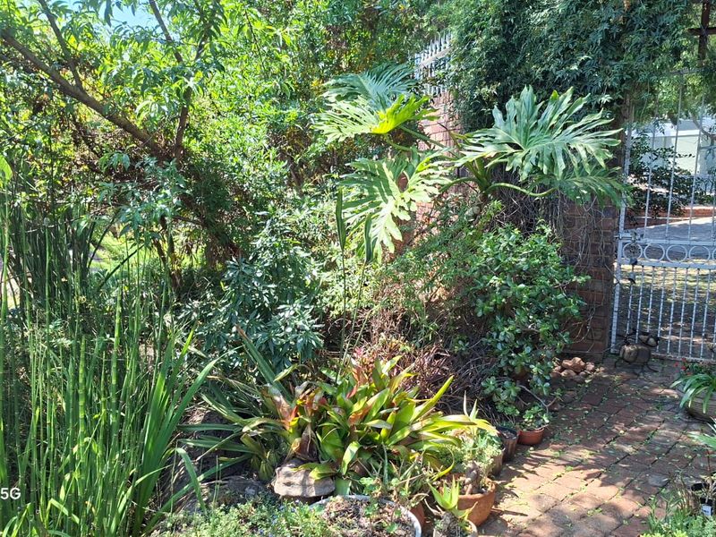 A lush, established garden area featuring brick paving, mature greenery, and a secure metal gate entrance.