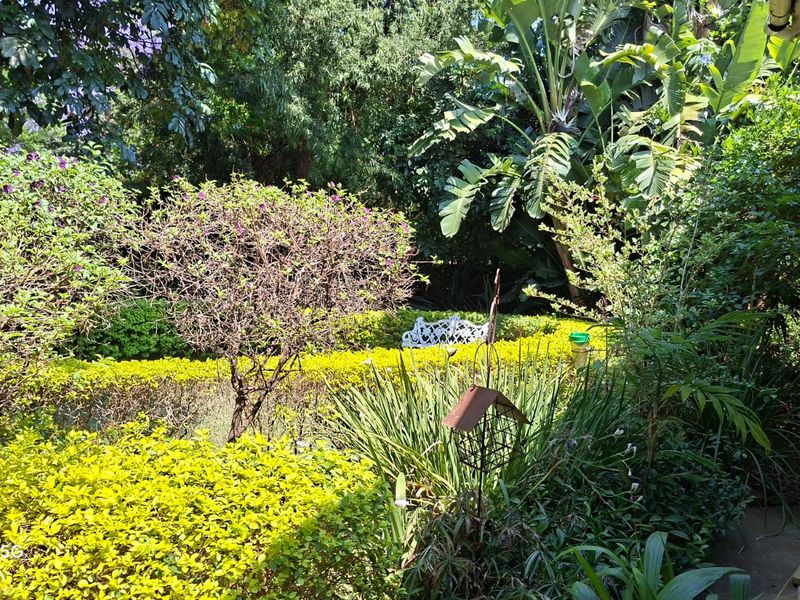 A lush, well-established garden featuring mature trees, manicured hedging, and a paved pathway, providing a serene outdoor environment.