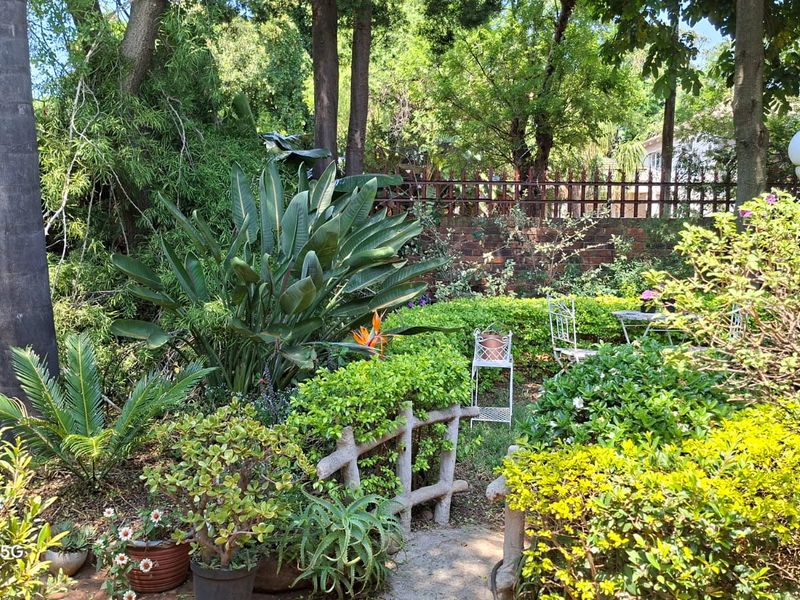 A lush, established garden featuring mature trees, manicured hedges, a brick boundary wall, and a paved pathway.