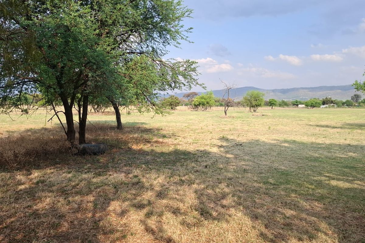 Expansive open grassland area featuring mature trees and scenic mountain views, suitable for agricultural use or outdoor development on this small holding.